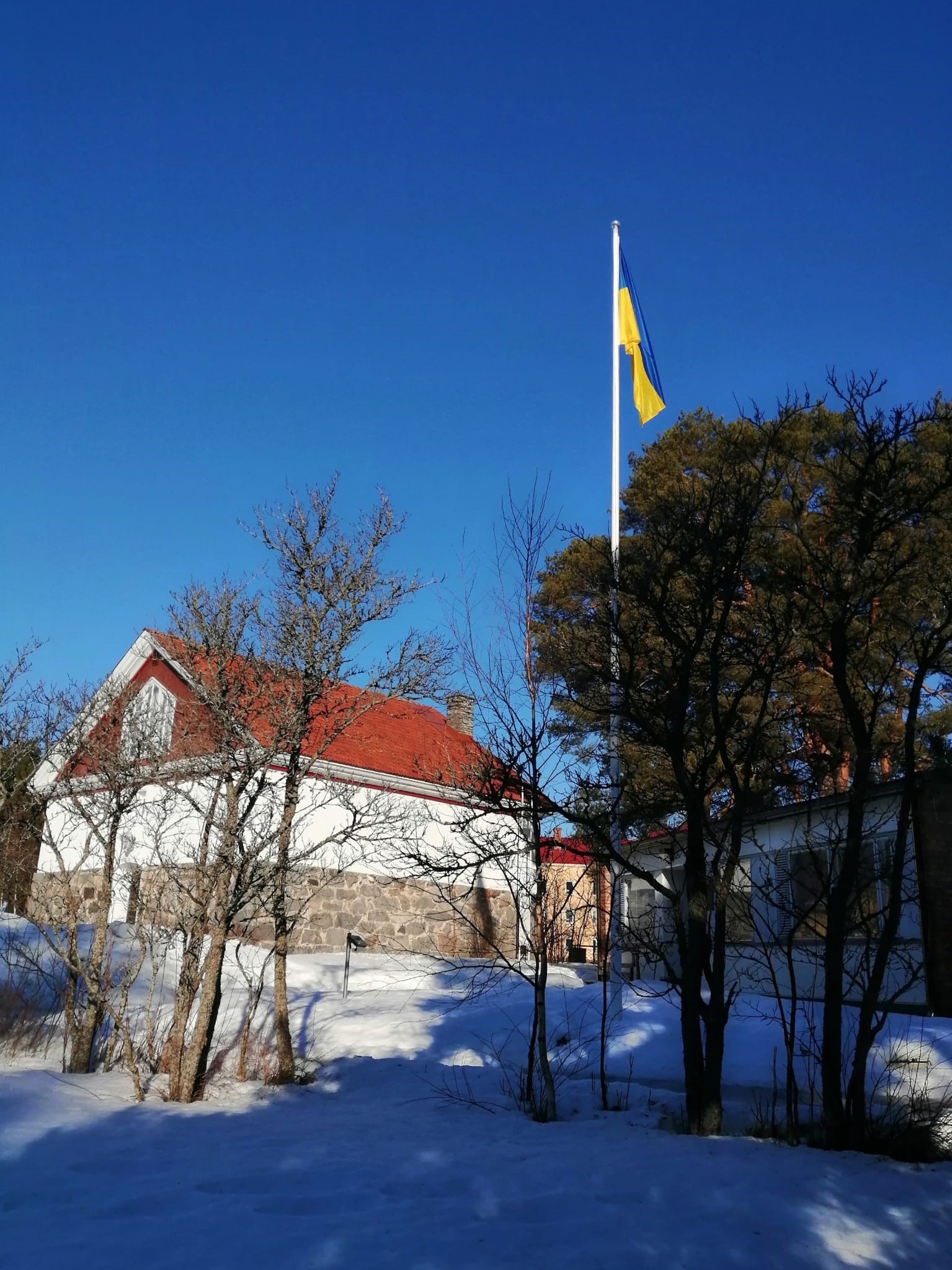 Ukrainan lippu liehuu salossa aurinkoisena kevätpäivänä Kangasalan Tapulinmäellä.