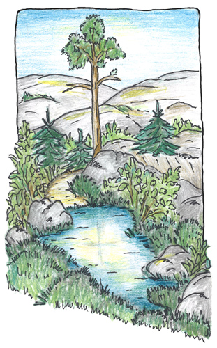 Piirroskuva luontomaisemasta, jossa kiviä, pieni lähde ja puu. Piirtäjä Tuula Salminen.